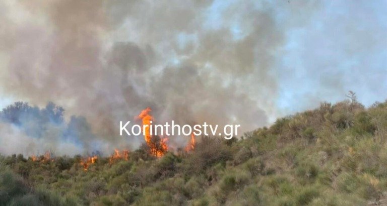 Φωτιά στα Σοφιανά Κορινθίας – Ισχυρές δυνάμεις στο σημείο