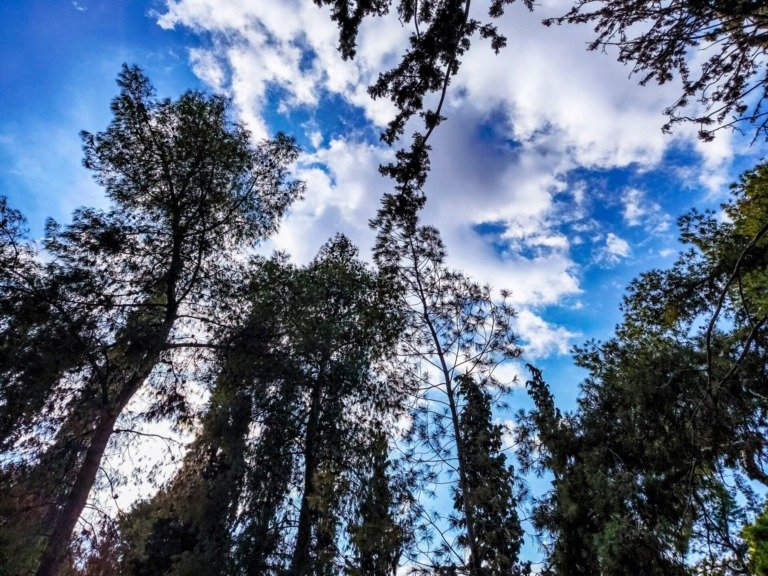 Την κατιούσα παίρνει σήμερα ο υδράργυρος – Ηλιοφάνεια, αλλά και κατά τόπους ομίχλες στο μεγαλύτερο μέρος της χώρας (video)