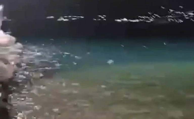 10 λεπτά δέους: Κάτι τρομακτικό συνέβη ξαφνικά στην Εύβοια