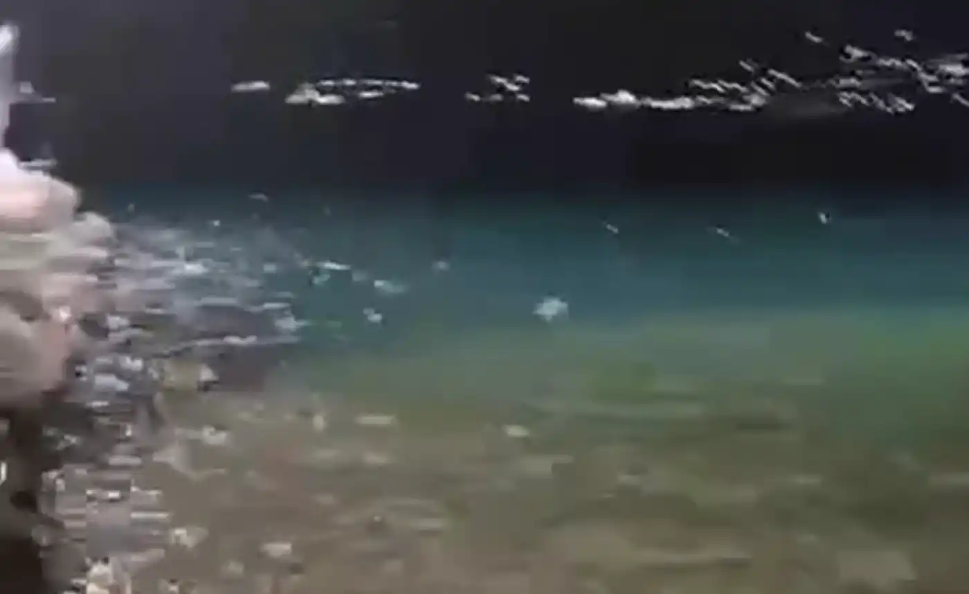 10 λεπτά δέους: Κάτι τρομακτικό συνέβη ξαφνικά στην Εύβοια