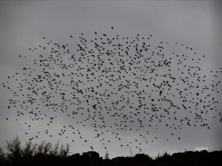 Εύβοια: Άφωνοι όταν κοίταξαν τον ουρανό στην Κάρυστο