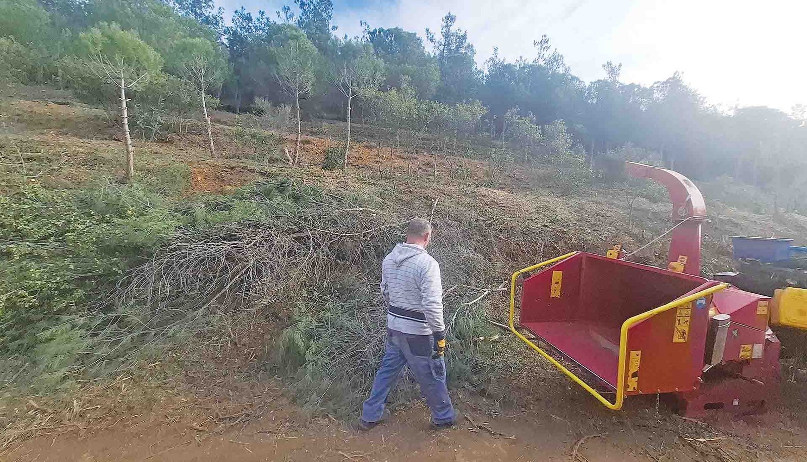 Δήμος Παύλου Μελά: Καθαρίζουν το δάσος της Πολίχνης  για την αποφυγή πυρκαγιών